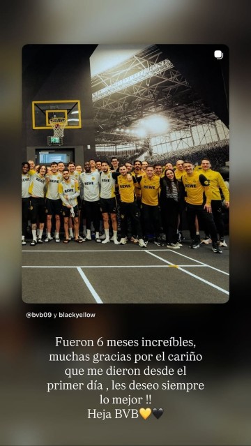 PG电子模拟器-安塞尔米诺社媒告别多特蒙德：不可思议的6个月！感谢给我的爱